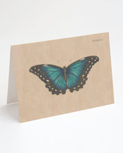 A Butterfly Specimen C Greeting Card by Cognitive Surplus with a blue butterfly on it.