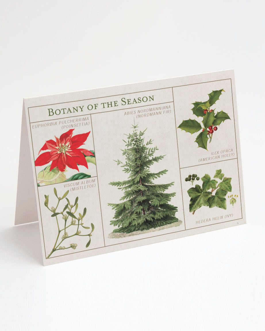 Botany of the Season Card by Cognitive Surplus.