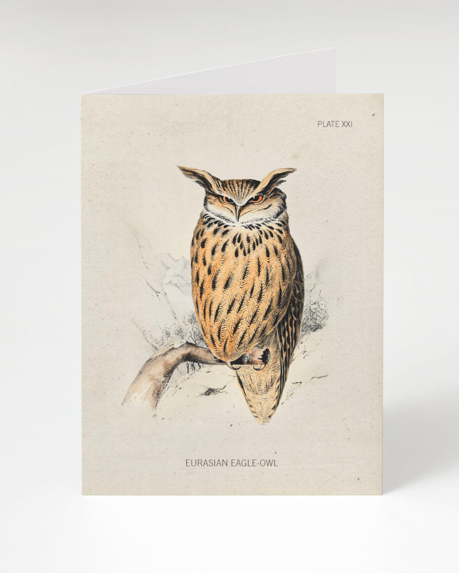 An illustration of a Cognitive Surplus Eagle-Owl Bird Specimen Card sitting on a branch.