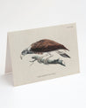 A Fish Eagle Bird Card with an image of an eagle perched on a branch by Cognitive Surplus.
