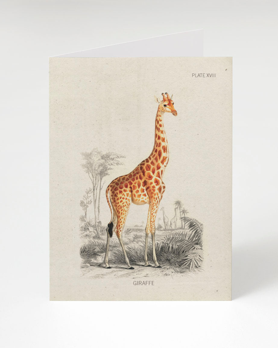 An illustration of a giraffe on a Cognitive Surplus Giraffe Greeting Card.