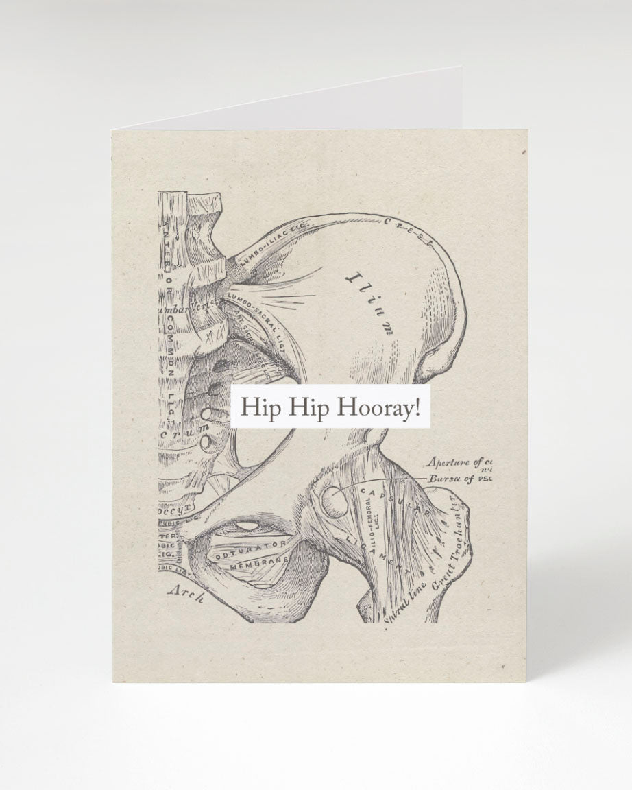 Hip Hip Hooray: Anatomy greeting card by Cognitive Surplus.