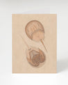 A drawing of a Horseshoe Crab Greeting Card on a beige background by Cognitive Surplus.