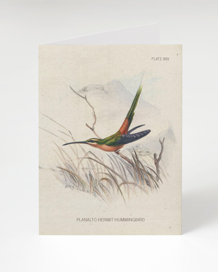 A Cognitive Surplus Hummingbird Greeting Card with an illustration of a bird in flight.
