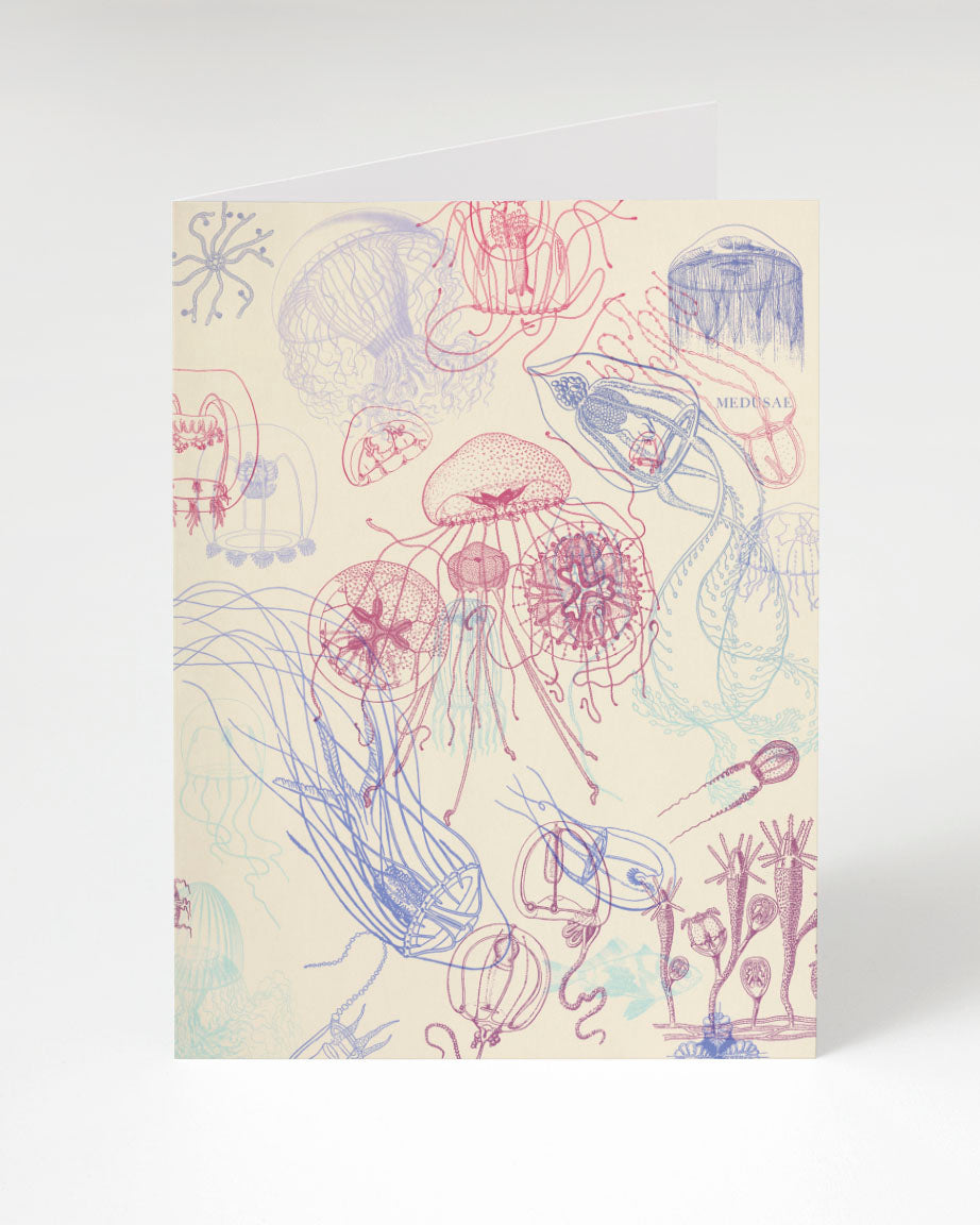 A Cognitive Surplus Jellyfish Greeting Card with a drawing of jellyfish and other sea creatures.