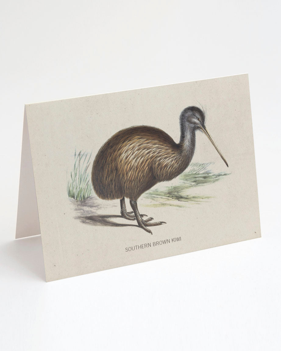 New Zealand Kiwi Bird Greeting Card by Cognitive Surplus.