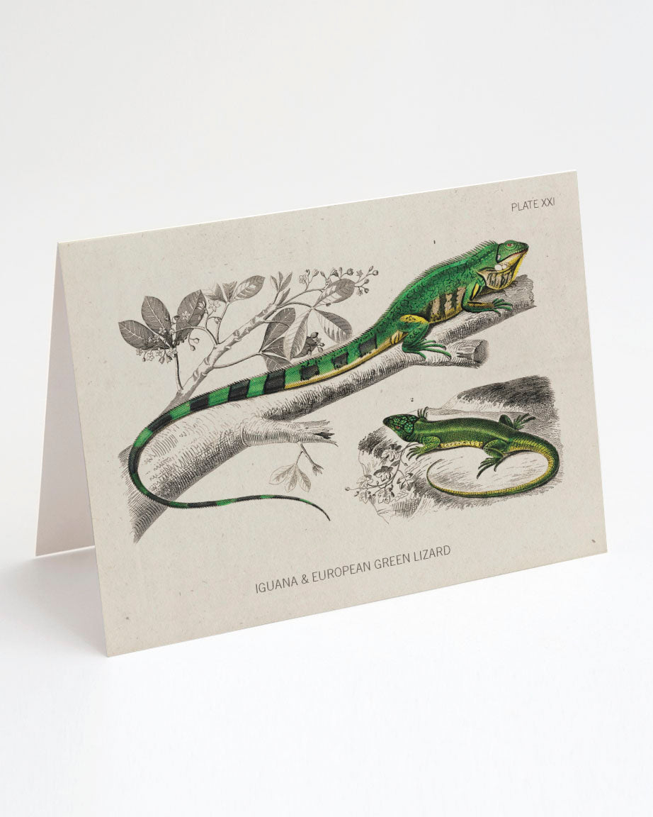 A Cognitive Surplus Lizard Greeting Card with two green lizards on a branch.