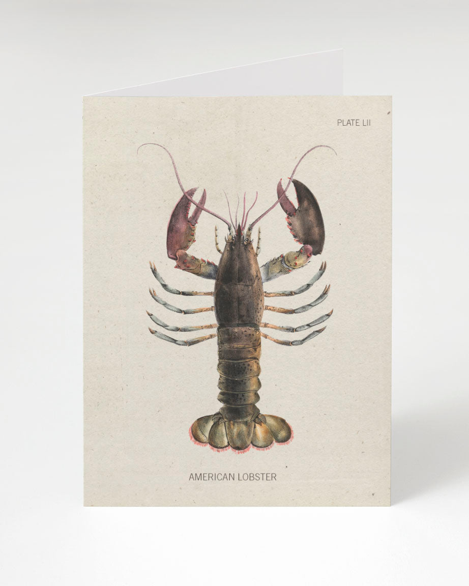 A Cognitive Surplus Lobster Greeting Card