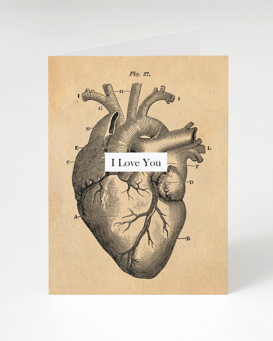 I love Cognitive Surplus Anatomical Heart Card with a human heart on it.