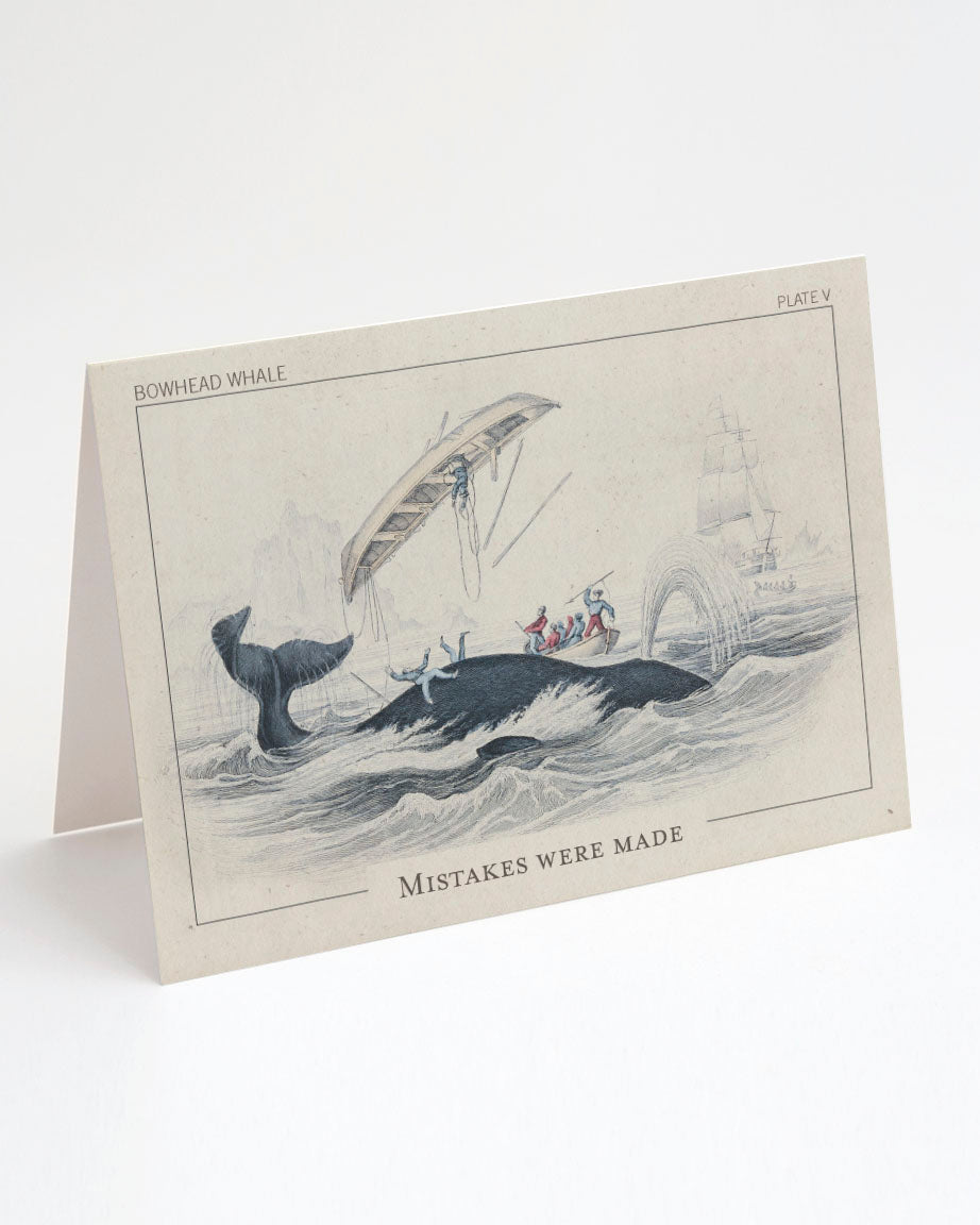 A Mistakes Were Made Apology Card by Cognitive Surplus with an illustration of a whale in the water.