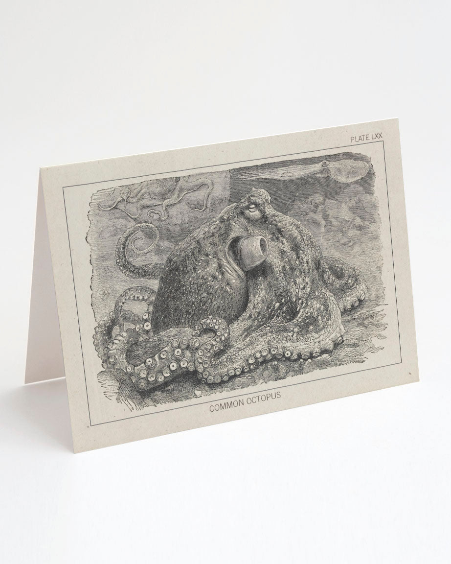 A Cognitive Surplus Octopus Greeting Card is laying on top of a card.
