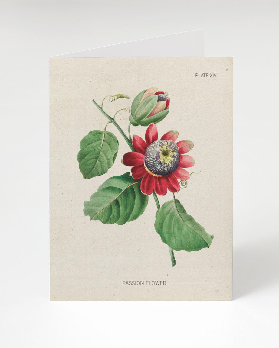 A Cognitive Surplus Passion Flower Greeting Card with an illustration of a passion flower.