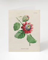 Passion Flower Greeting Card