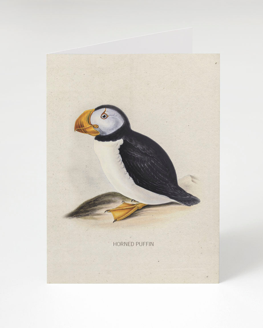 An illustration of a Horned Puffin bird on a Cognitive Surplus greeting card.