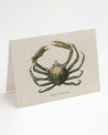 A Spider Crab Greeting Card with an illustration of a crab by Cognitive Surplus.