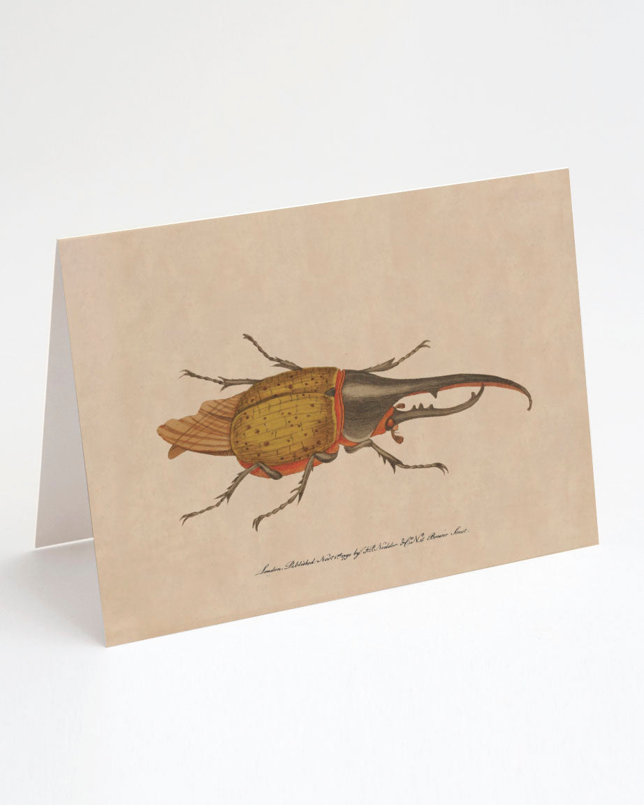 A Cognitive Surplus Hercules Beetle Greeting Card with an illustration of a beetle on it.