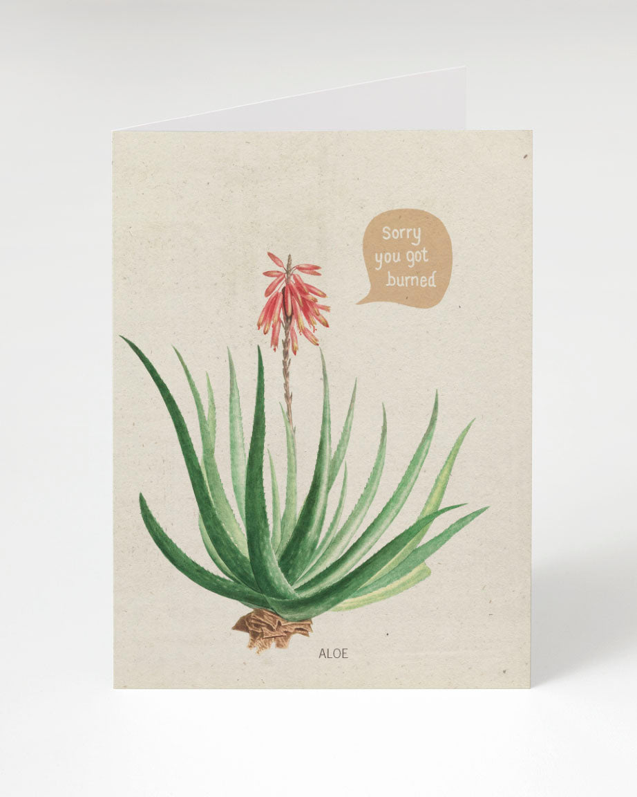 A Cognitive Surplus Sorry You Got Burned Aloe Card with an aloe vera plant and a speech bubble.