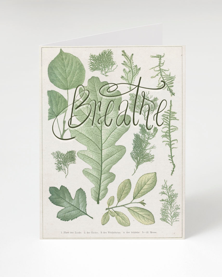A Cognitive Surplus Breathe Greeting Card with leaves and the word breathe.