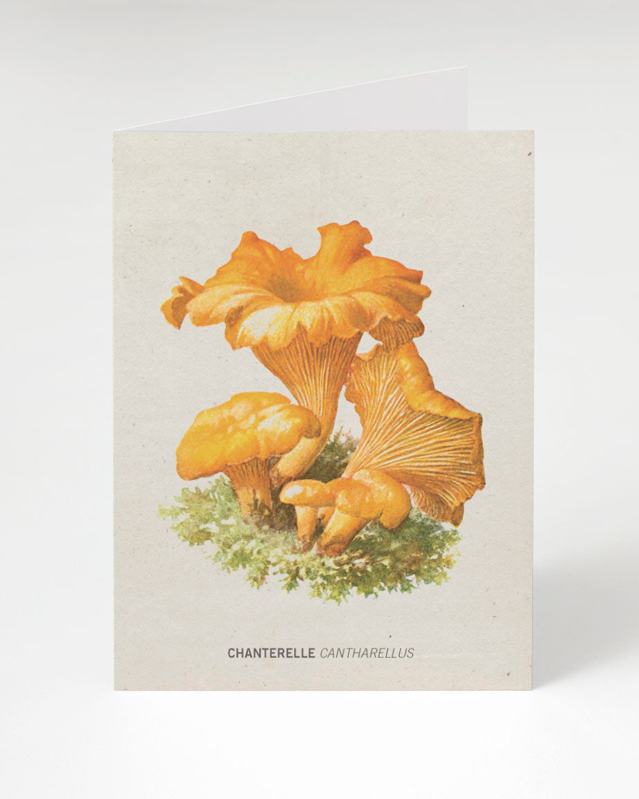 A Cognitive Surplus Chanterelle Mushroom Card.