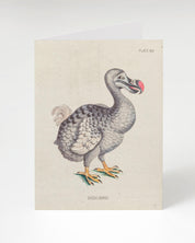 A Dodo Bird Greeting Card with an illustration of a swan by Cognitive Surplus.