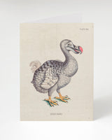 Dodo Bird Greeting Card