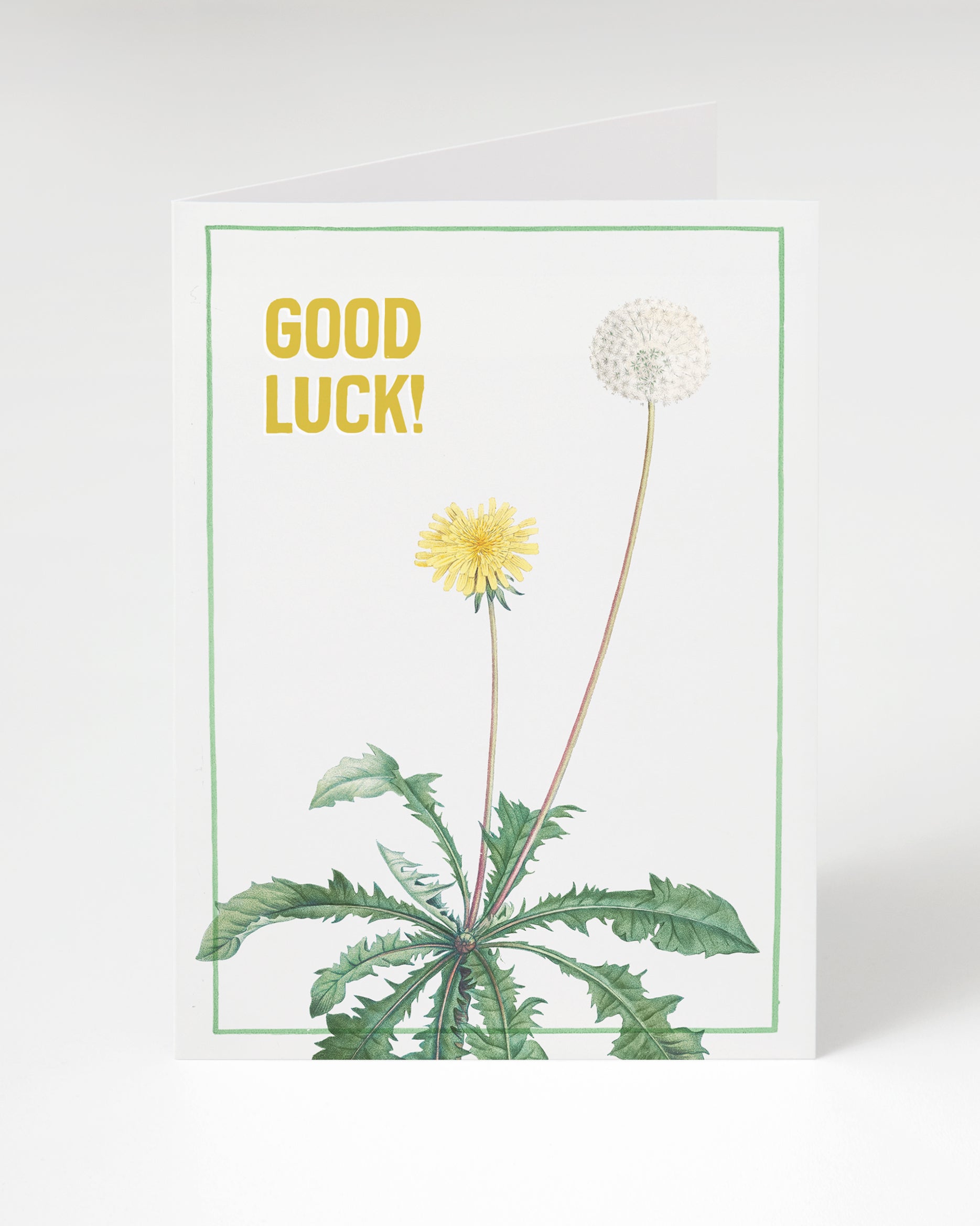 Good Luck! Dandelion Card