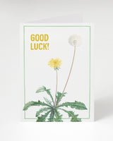 Good Luck! Dandelion Card