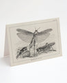 A black and white drawing of a Locust Greeting Card by Cognitive Surplus on a white background.