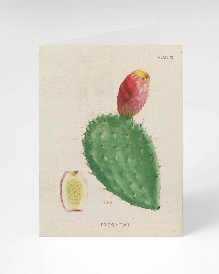 A Prickly Pear Cactus Fruit Card with a prickly cactus on it from Cognitive Surplus.