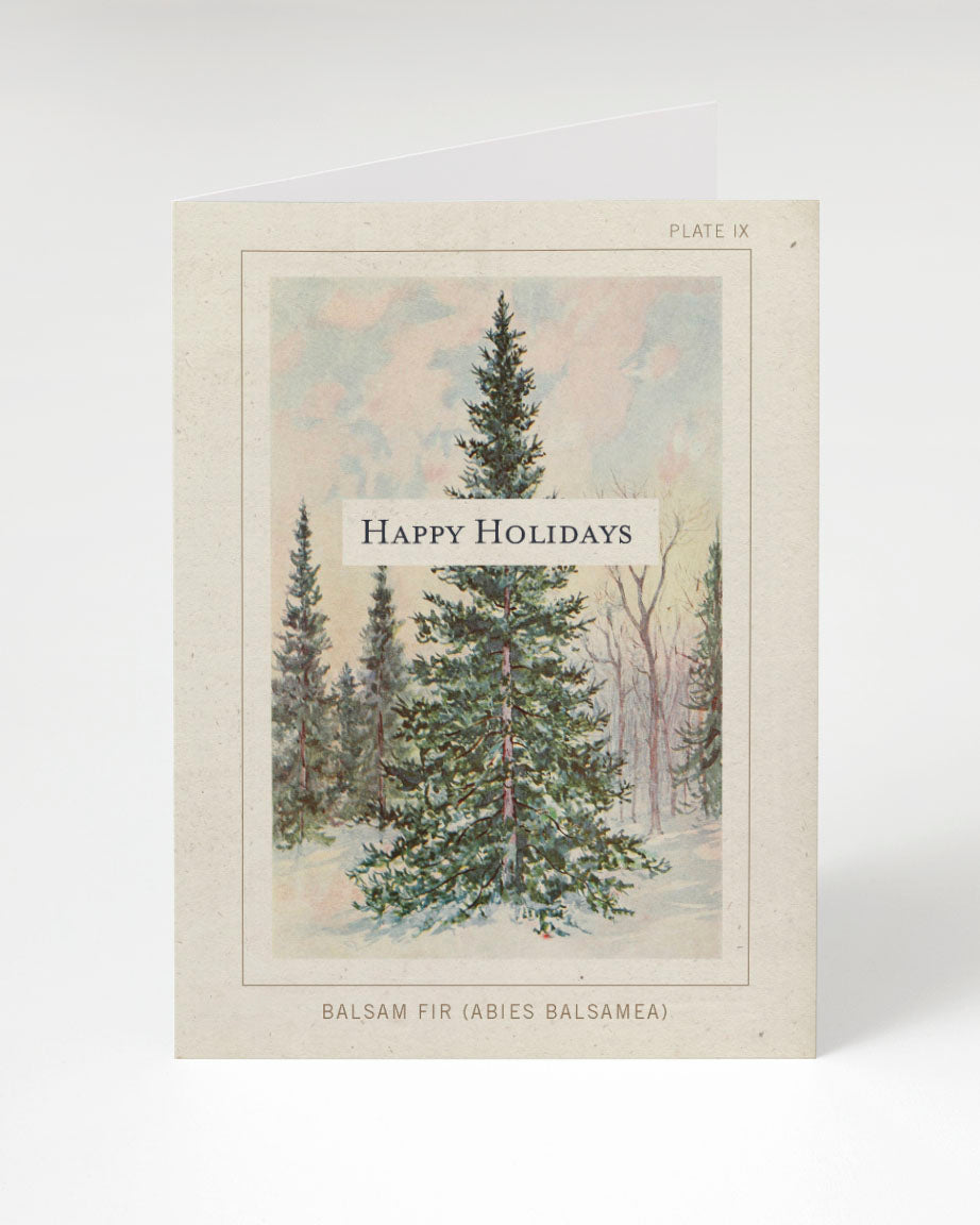 A Botanical Plate: Balsam Fir Happy Holidays Card from Cognitive Surplus, with a pine tree and the words happy holidays.