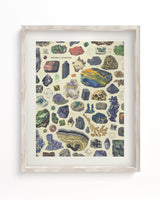 Gems & Minerals Scientific Illustration Museum Print