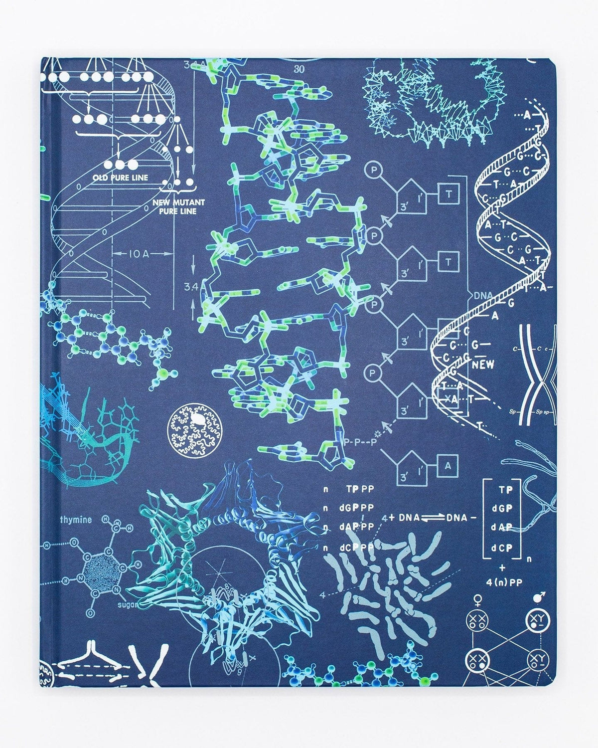 Laboratory Notebooks | Lab Notebooks | Cognitive Surplus