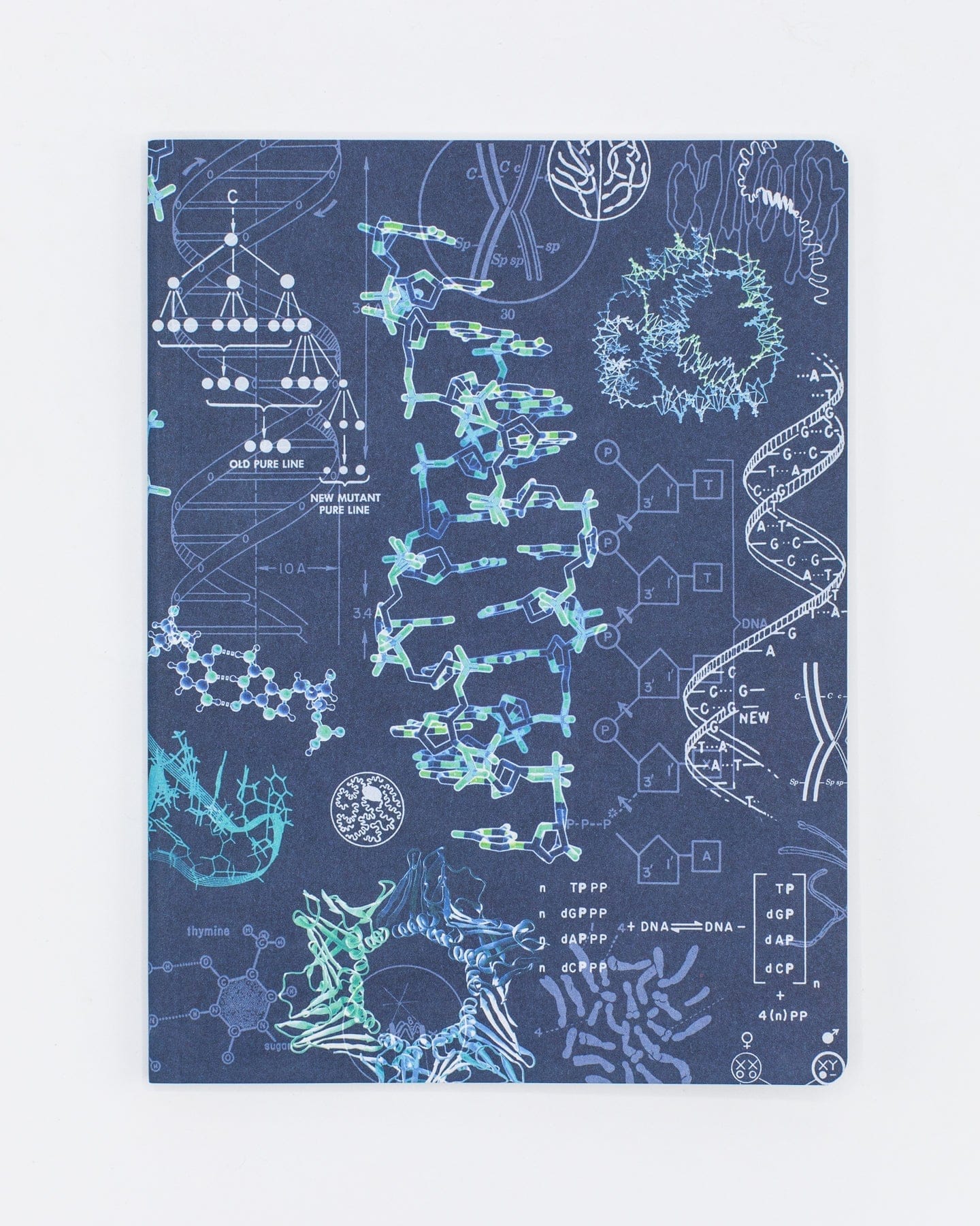 Genetics Journal New Issue Of Genetics & Applications Published