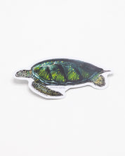 Green Sea Turtle Sticker Cognitive Surplus