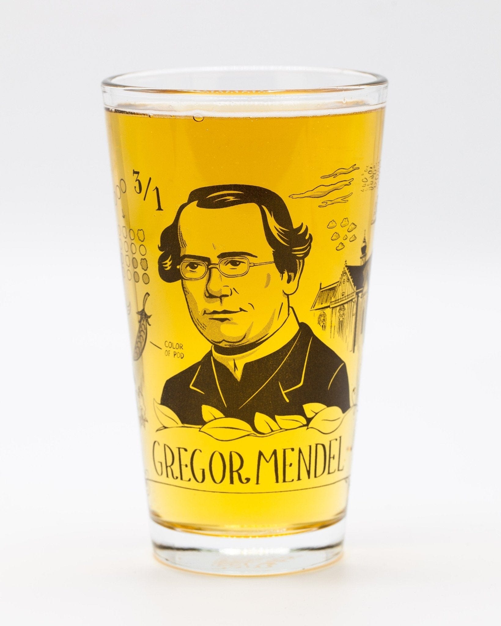 Gregor Mendel Pint Glass Cognitive Surplus