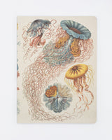 Haeckel Jellyfish Softcover Notebook - Dot Grid