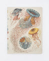 Haeckel Jellyfish Softcover - Dot Grid Cognitive Surplus