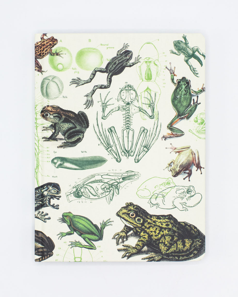 A Frogs & Toads Hardcover Notebook - Dot Grid with illustrations of frogs and other animals created by Cognitive Surplus.