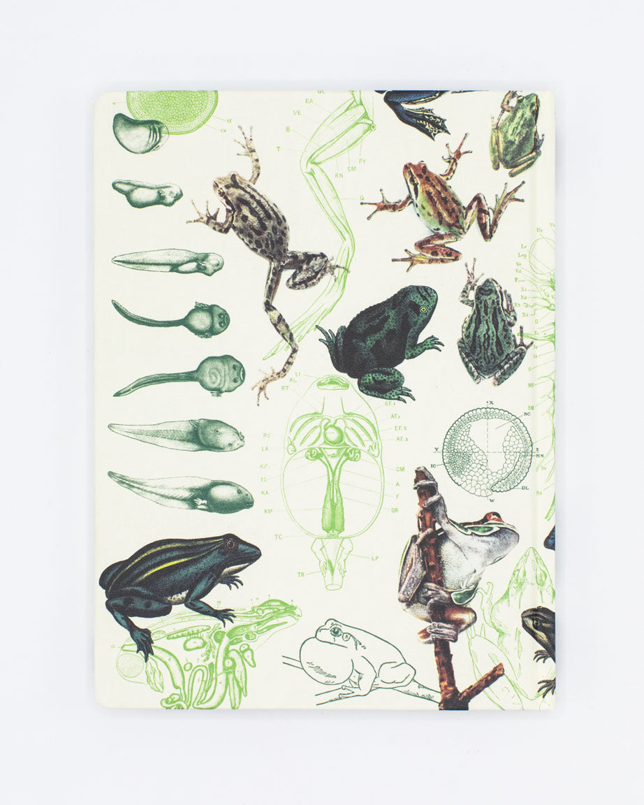 A Cognitive Surplus Frogs & Toads Hardcover Notebook - Dot Grid with frogs and insects on it.