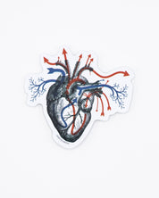 Heart Blood Flow Sticker Cognitive Surplus