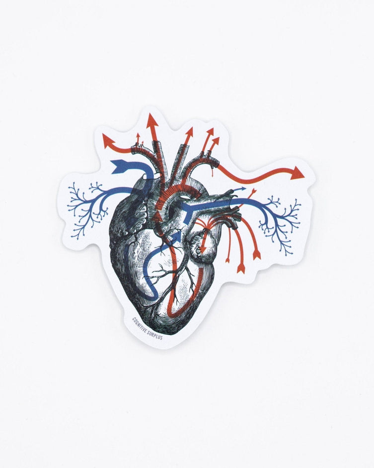 Heart Blood Flow Sticker – Cognitive Surplus