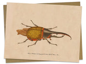Hercules Beetle Vintage Illustration Card Cognitive Surplus