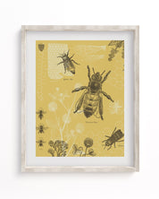 Honey Bee Museum Print Cognitive Surplus