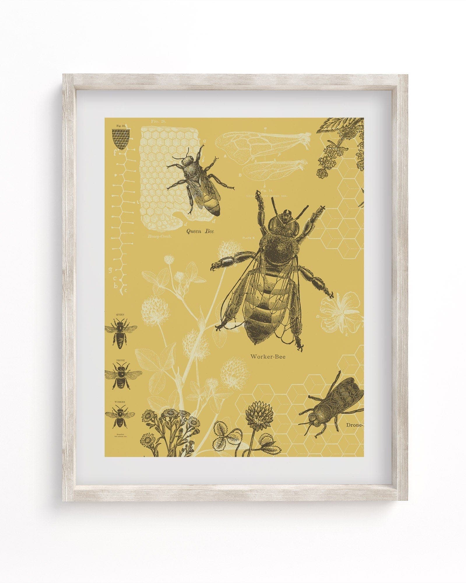 Honey Bee Museum Print Cognitive Surplus