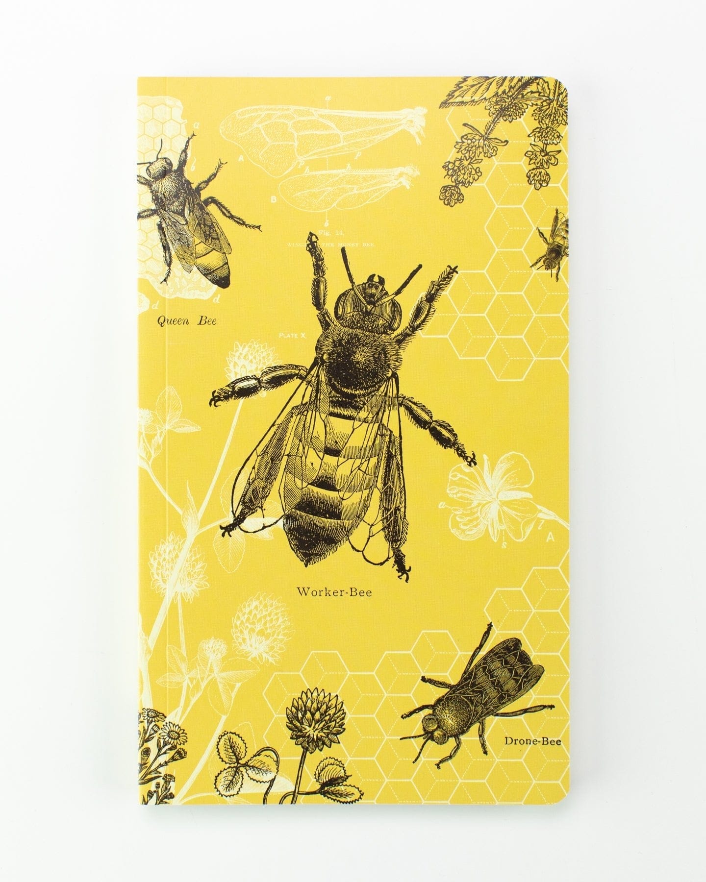 Honey Bee Yearly Planner Cognitive Surplus