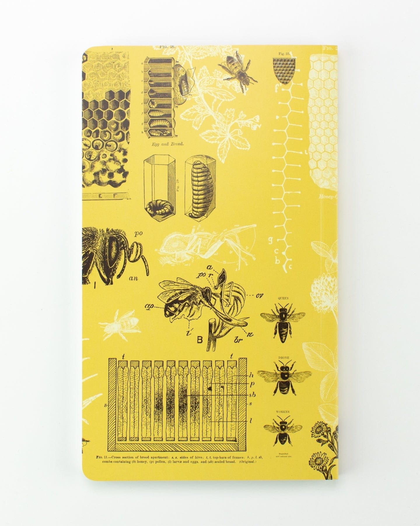 Bee Books Journaling Kit – Sweet Bean Plans