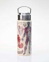 Human Anatomy 18 oz Steel Bottle
