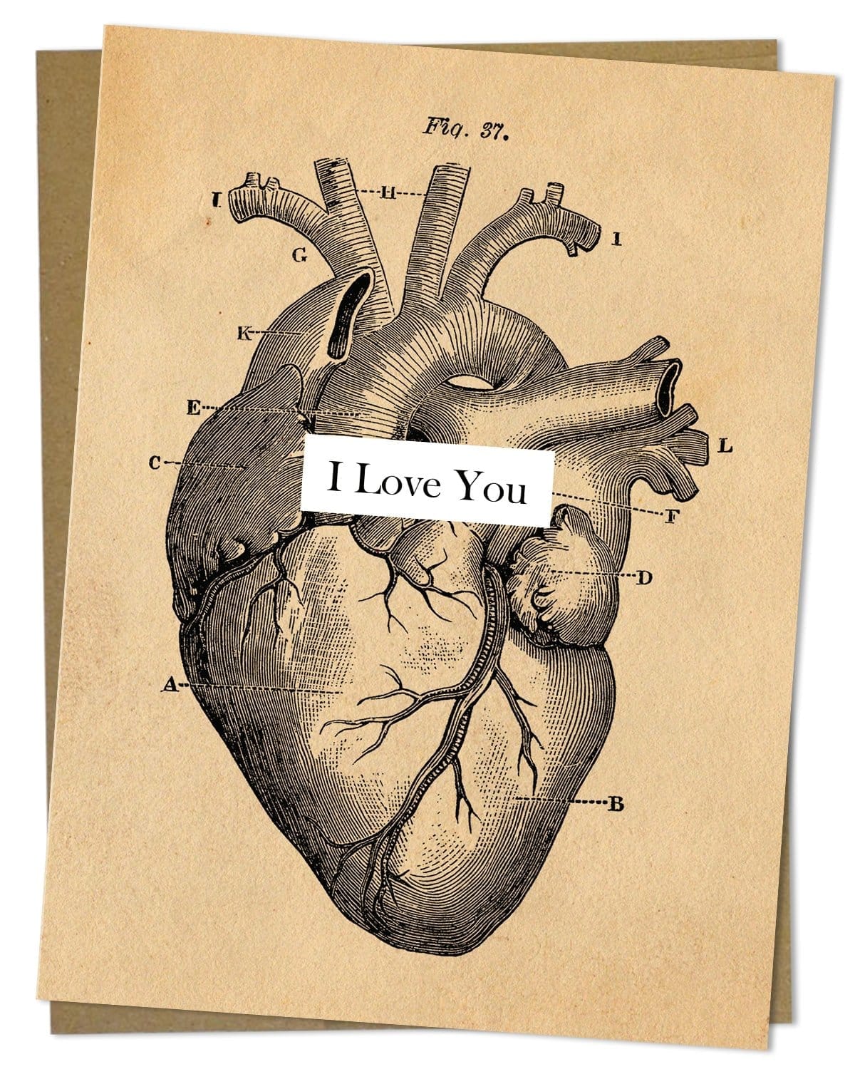 I Love You: Anatomical Heart Card Cognitive Surplus
