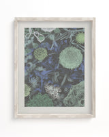 Infectious Disease Scientific Illustration Museum Print