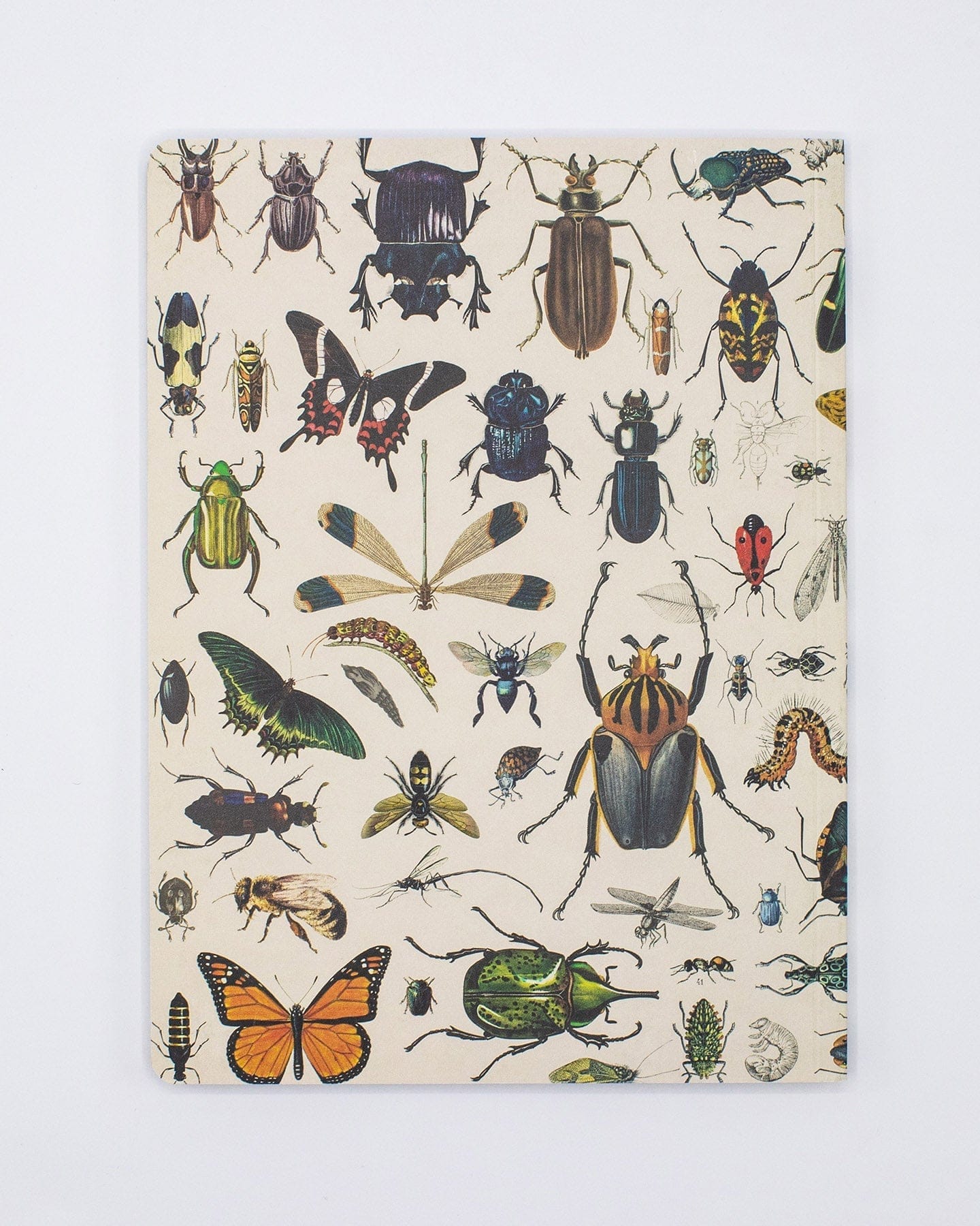 Insect Softcover - Dot Grid Cognitive Surplus